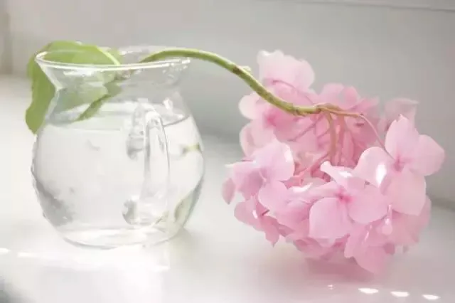 50句极富韵味的句子，意味隽永