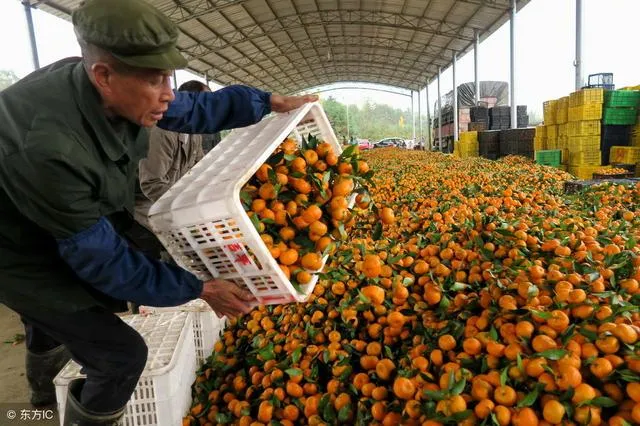 商品滞销是什么意思 | 库存滞销品处理方法