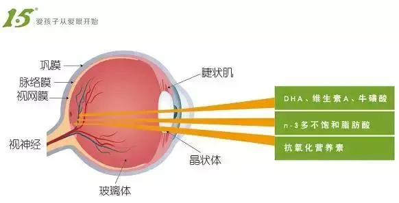 保护眼睛，从正确认识眼角膜开始~