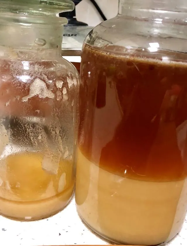 家常蜂蜜柠檬水的做法功效 | 不到10分钟就能做的蜂蜜柠檬水