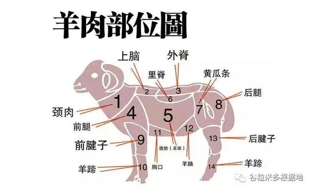 新疆人为什么不吃猪肉？有牛有羊何需猪