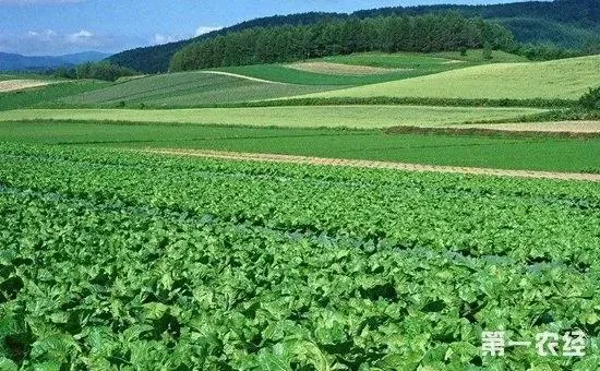 2018国家农业扶持项目有哪些及扶持政策如