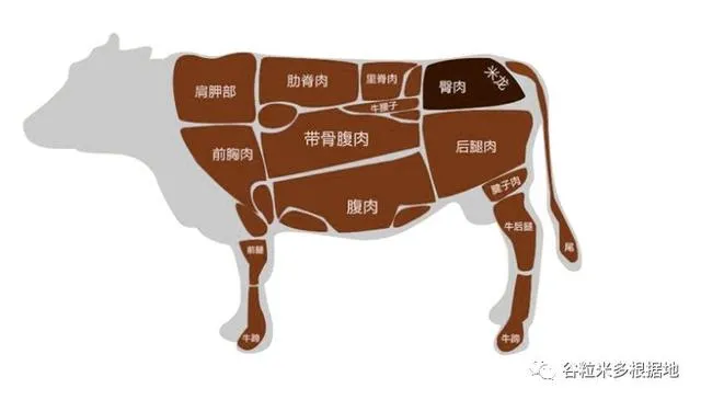 新疆人为什么不吃猪肉？有牛有羊何需猪