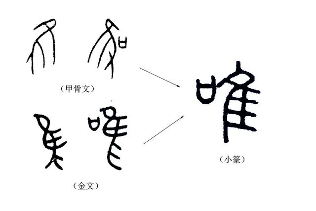 唯唯诺诺是什么意思 | 成语唯唯诺诺的含