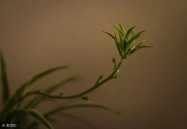 念欲为大患，有漏皆苦，这是修行的根本