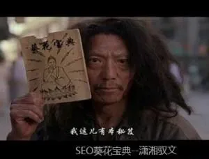 seo葵花宝典是什么意思 | 网络营销常见的