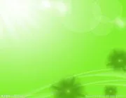 ofo小黄车怎么办理(小黄单车)
