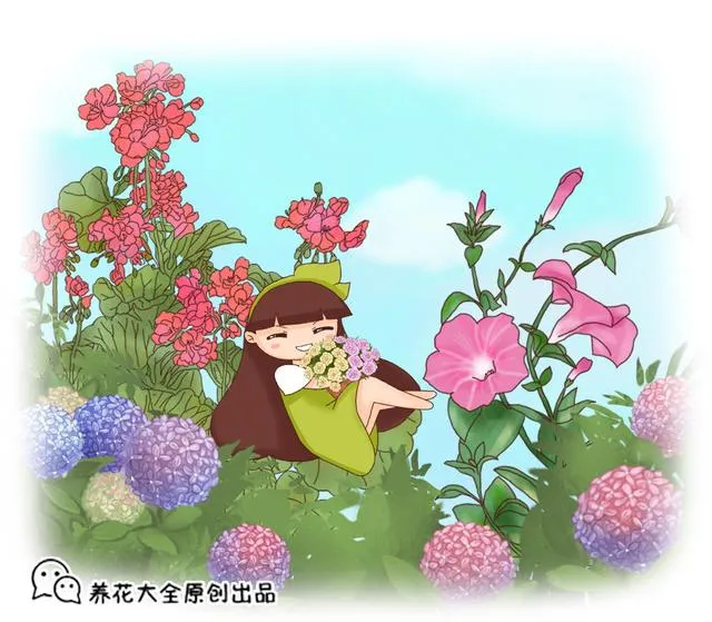 春天开什么花 | 最常见的花品种名字