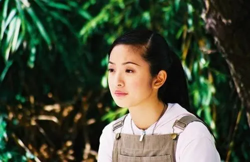 那些林依晨演过的电视剧，你还记得几部呢？
