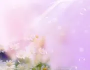 64种性取向(64种性取向测试)