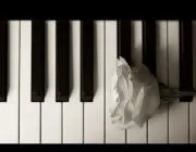 畅销言情小说(最火的言情小说排行榜)