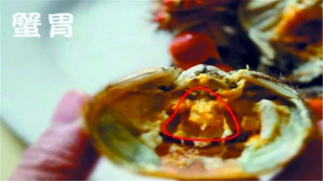 螃蟹不能吃的4个部位，很多人都不知道，可不要再吃错了
