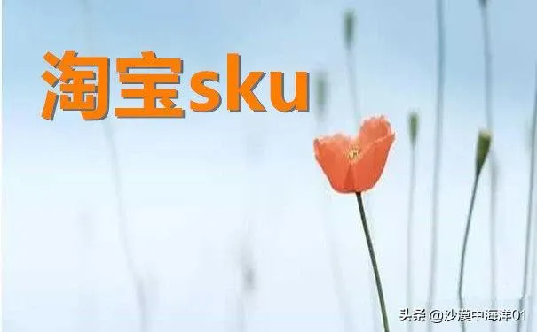 sku是什么意思 | 如何设置产品的sku