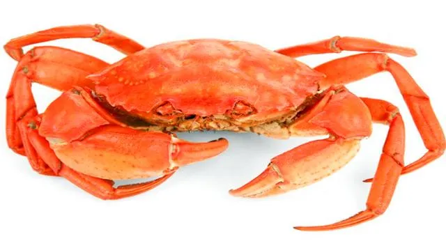 螃蟹不能吃的4个部位，很多人都不知道，可不要再吃错了