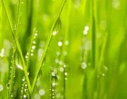 菜根谈(菜根谭读后感)