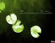倒立危害(晚上倒立的好处和坏处)