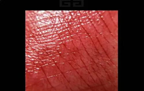 纪梵希圣诞306