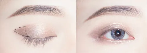 kate眼影