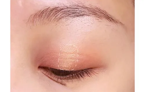 zoeva玫瑰盘