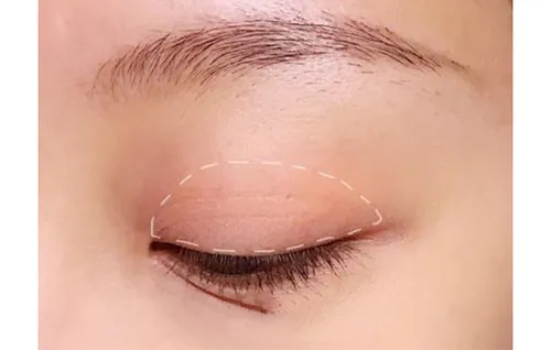 zoeva玫瑰盘
