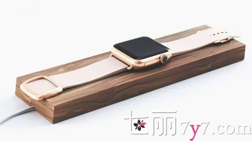 apple watch配件
