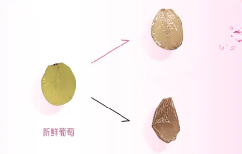欧莱雅葡萄籽膜力水