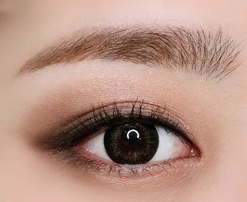 大地眼影
