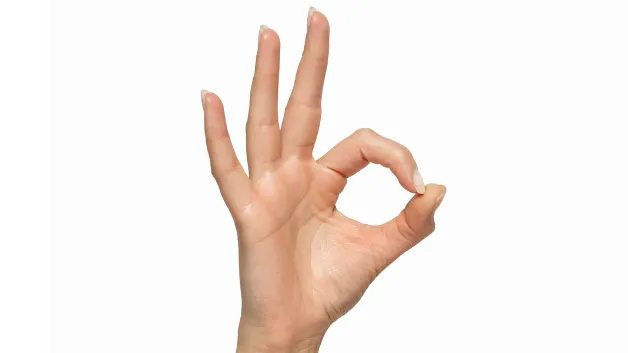 ojbk有骂人的意思吗
