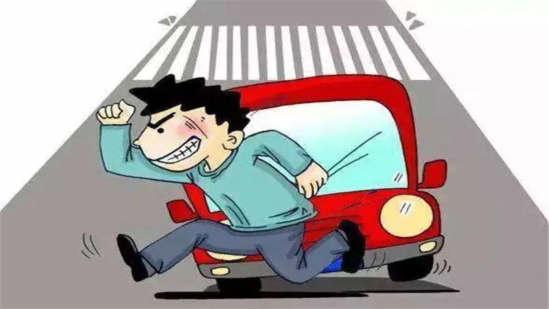 路透照是什么意思