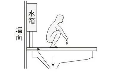 后排水蹲便器