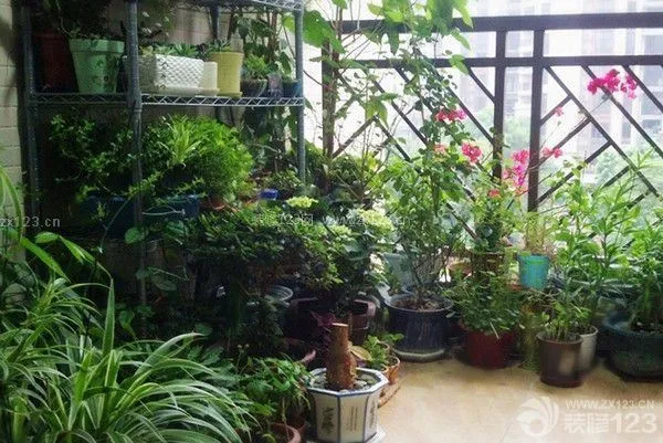 阳台设计 阳台设计
