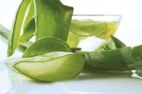 芦荟做面膜的正确方法 芦荟面膜配方