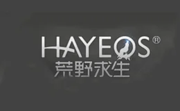 荒野求生HAYEQS