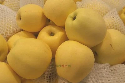 昌平苹果