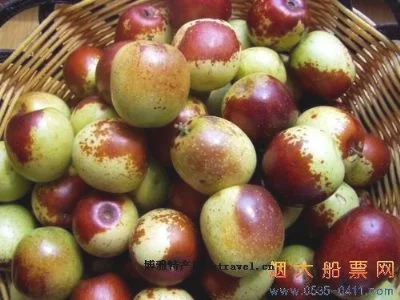 大港冬枣