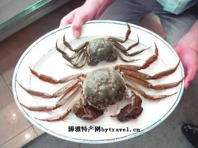 天津紫蟹