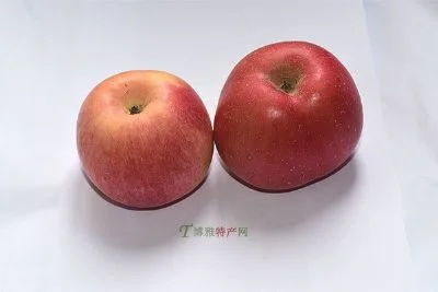 亮甲台红星苹果