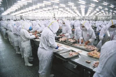 瓦房店肉鸡