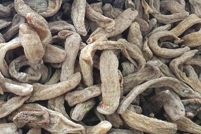 桓仁天麻
