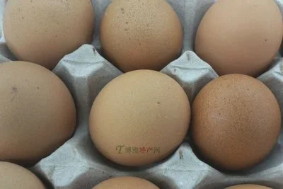 营口蚕蛹鸡蛋