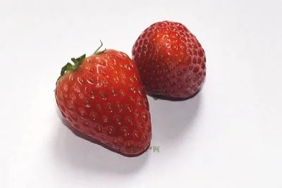 费屯草莓