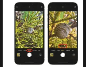 如何在 iPhone 13 Pro 系列中拍摄和控制微距照片和视频？