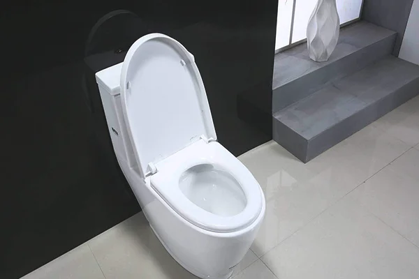 坐便器排行榜前十名