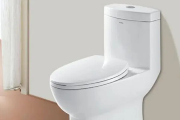 国内坐便器有哪些好的牌子？